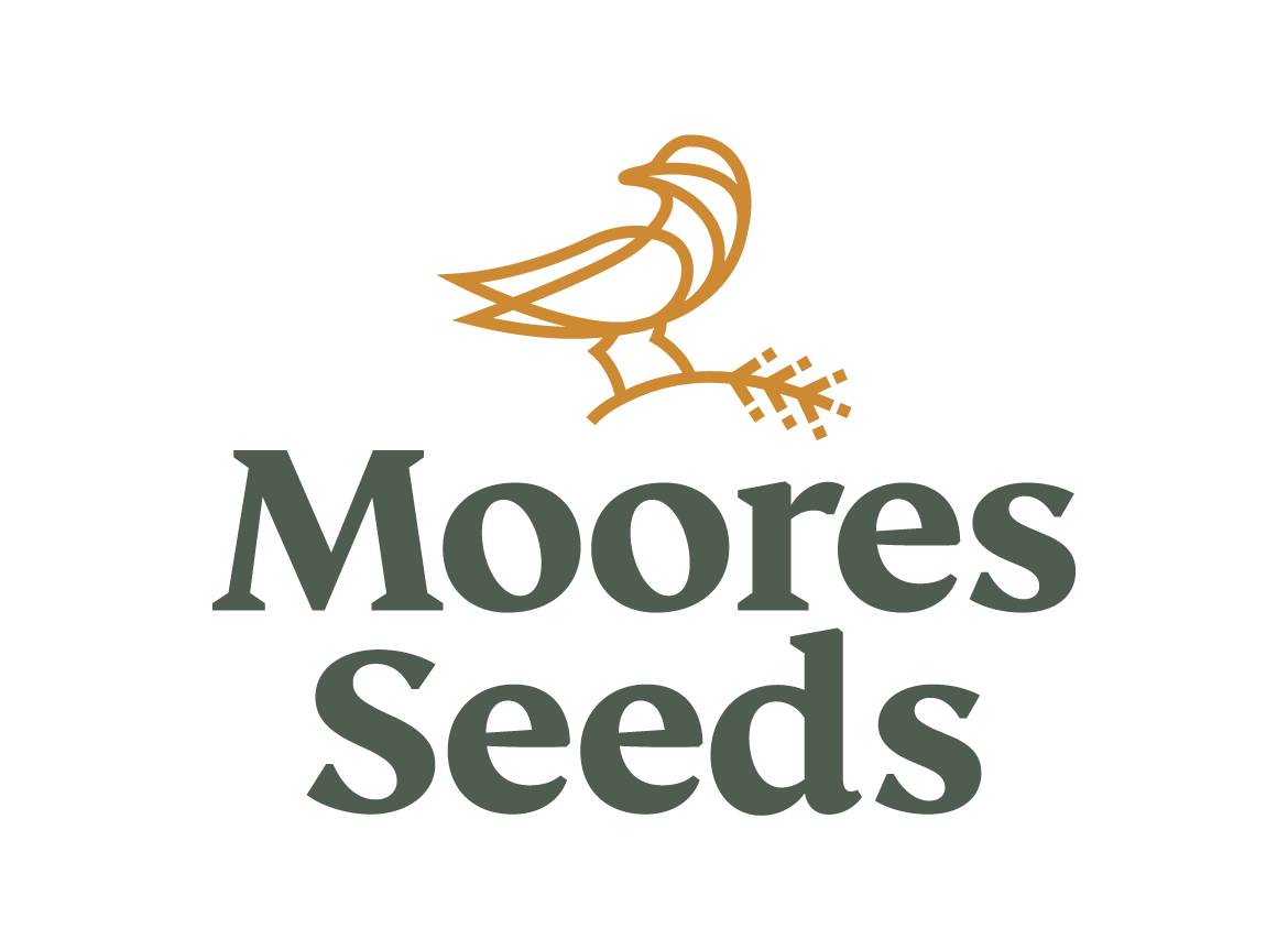 Moore's Seeds